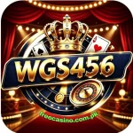 WGS456 official Gaming Logo