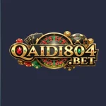 QAIDI804 Game Logo
